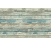 Панель для кухонного фартука ФАРТУКОФФ "ФФ - 365", глянцевая 1000x600x1,0 мм, Фотопечать 35013650401