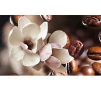 Панель для кухонного фартука ФАРТУКОФФ "ФФ - 433", глянцевая 1000x600x1,0 мм, Фотопечать 35014330401