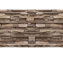 Панель для кухонного фартука ФАРТУКОФФ "ФФ - 436", глянцевая 1000x600x1,0 мм, Фотопечать 35014360401