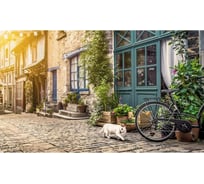 Панель для кухонного фартука ФАРТУКОФФ "ФФ - 442", глянцевая 1000x600x1,0 мм, Фотопечать 35014420401