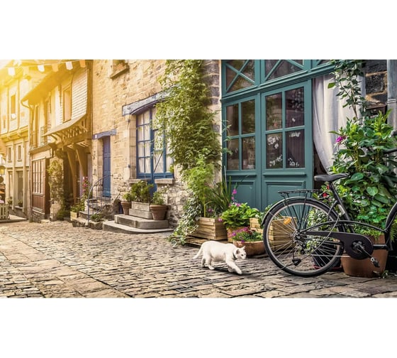 Панель для кухонного фартука ФАРТУКОФФ "ФФ - 442", глянцевая 1000x600x1,0 мм, Фотопечать 35014420401 1