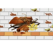 Панель для кухонного фартука ФАРТУКОФФ "ФФ - 474", глянцевая 1000x600x1,0 мм, Фотопечать 35014740401