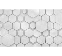 Панель для кухонного фартука ФАРТУКОФФ "ФФ - 485", глянцевая 1000x600x1,0 мм, Фотопечать 35014850401