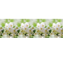 Панель для кухонного фартука ФАРТУКОФФ без дополнительного покрытия "ТП - Весна", 2000x600x0,7 мм, Термоперевод 35010130102