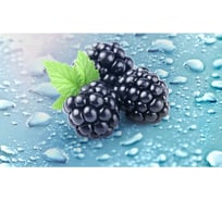 Панель для кухонного фартука ФАРТУКОФФ "ФФ - 402", глянцевая 1000x600x1,0 мм, Фотопечать 35014020401