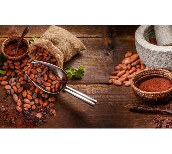 Панель для кухонного фартука ФАРТУКОФФ "ФФ - 407", глянцевая 1000x600x1,0 мм, Фотопечать 35014070401 1