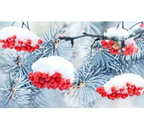 Панель для кухонного фартука ФАРТУКОФФ "ФФ - 401", глянцевая 1000x600x1,0 мм, Фотопечать 35014010401