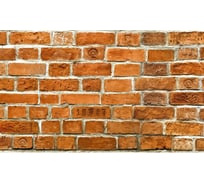 Панель для кухонного фартука ФАРТУКОФФ "ФФ - 376", глянцевая 1000x600x1,0 мм, Фотопечать 35013760401