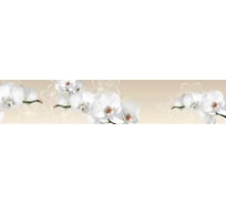 Панель для кухонного фартука ФАРТУКОФФ глянцевая "ФФ - 423", 3000x600x1,0 мм, Фотопечать 35014230403