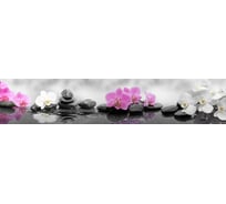 Панель для кухонного фартука ФАРТУКОФФ глянцевая "ФФ - 344", 3000x600x1,0 мм, Фотопечать 35013440403