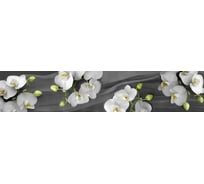 Панель для кухонного фартука ФАРТУКОФФ глянцевая "ФФ - 347", 3000x600x1,0 мм, Фотопечать 35013470403