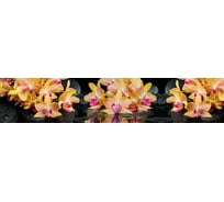 Панель для кухонного фартука ФАРТУКОФФ глянцевая "ФФ - 332", 3000x600x1,0 мм, Фотопечать 35013320403