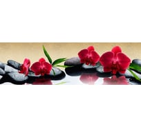 Панель для кухонного фартука ФАРТУКОФФ глянцевая "ФФ - 443", 2000x600x1,0 мм, Фотопечать 35014430402