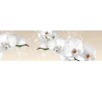 Панель для кухонного фартука ФАРТУКОФФ глянцевая "ФФ - 423", 2000x600x1,0 мм, Фотопечать 35014230402