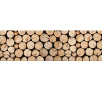 Панель для кухонного фартука ФАРТУКОФФ глянцевая "ФФ - 369", 2000x600x1,0 мм, Фотопечать 35013690402