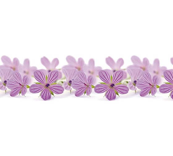 Панель для кухонного фартука ФАРТУКОФФ без дополнительного покрытия "ТП - Лесная фея", 2000x600x0,7 мм, Термоперевод 35010420102 1