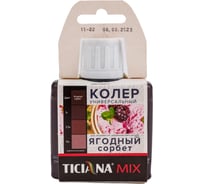 Универсальный колер микс TICIANA MIX Ягодный сорбет, 80 мл 4300007314
