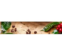 Панель для кухонного фартука ФАРТУКОФФ глянцевая "ФФ - 506",, 3000x600x1,0 мм, Фотопечать 35015060403