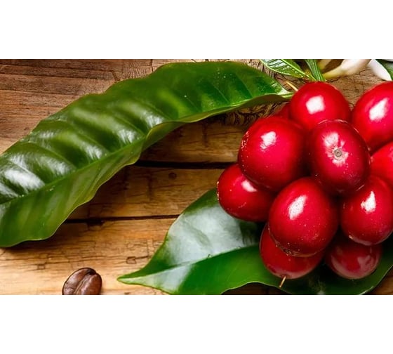 Панель для кухонного фартука ФАРТУКОФФ "ФФ - 506", глянцевая, 1000x600x1,0 мм, Фотопечать 35015060401 1