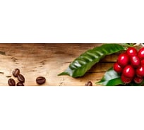 Панель для кухонного фартука ФАРТУКОФФ глянцевая "ФФ - 506",, 2000x600x1,0 мм, Фотопечать 35015060402