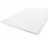 Панель ПВХ profBUILD 2700х250 мм, Белый, Матовая б н