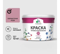 Краска MALARE Евро 20 для стен, потолков и обоев, парнасская роза, 13 кг КЕВРО20ПАРМ1300