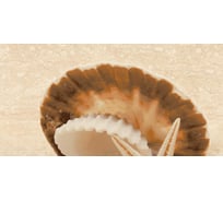 Декоративный массив Нефрит-Керамика Аликанте 07-00-5-10-00-11-121 (бежевый: верх жемчужина на песке; 25x50 см; 1 шт.) СК000004884