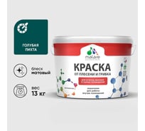 Краска MALARE от плесени и грибка, голубая пихта, 13 кг КБСПТГОПМ1300