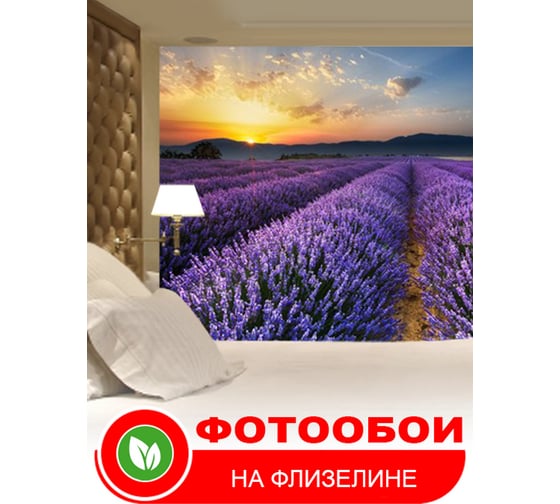 Фотообои Студия фотообоев Лавандовое поле, 400x270 см, 4 полотна 1404992