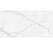 Керамогранит LAPARET Torso Bianco 60x120 см; полированный; 1,44 кв. м; 2 шт. х9999282608