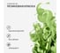 Резиновая краска SUPER DECOR №20 Фисташка, 6 кг 4630024701674 2