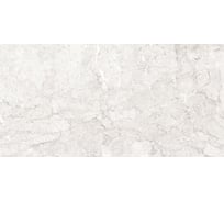 Керамогранит LAPARET Emil white светло-серый, 60x120 см, полированный, 1.44 кв. м, 2 шт. х9999294100