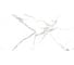 Керамогранит LAPARET Eris gray 60x120 см, карвинг, 1.44 кв. м, 2 шт. х9999286852 2