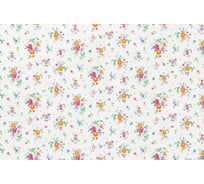 Пленка D-C-fix 0.45x2 м, цветы 3460193