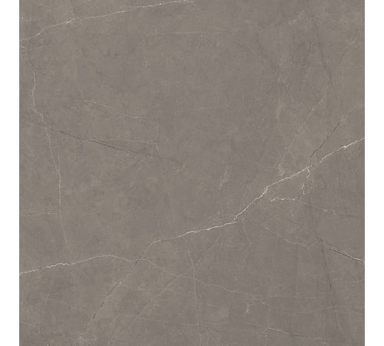 Керамогранит LAPARET Splash grey серый 60x60 см, сатинированный, карвинг, 1.44 кв. м, 4 шт. х9999293153