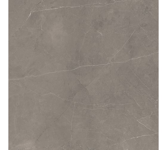 Керамогранит LAPARET Splash grey серый 60x60 см, сатинированный, карвинг, 1.44 кв. м, 4 шт. х9999293153