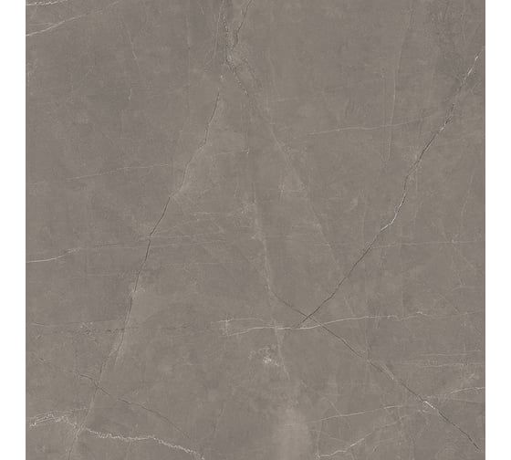 Керамогранит LAPARET Splash grey серый 60x60 см, сатинированный, карвинг, 1.44 кв. м, 4 шт. х9999293153