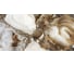 Керамогранит LAPARET Sirius gold 60x120 см, полированный 1.44 кв. м, 2 шт. х9999286822 5
