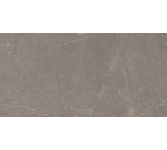 Керамогранит LAPARET Splash grey серый 60x120 см, сатинированный, карвинг, 1.44 кв. м, 2 шт. х9999293174