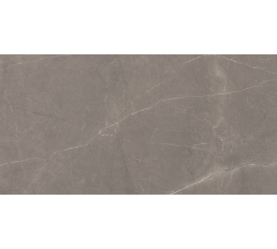 Керамогранит LAPARET Splash grey серый 60x120 см, сатинированный, карвинг, 1.44 кв. м, 2 шт. х9999293174