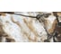 Керамогранит LAPARET Skat gold 80x160 см, металлизированный, 2.56 ка. м, 2 шт. х9999286947 1