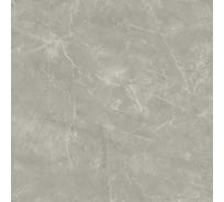 Керамогранит LAPARET Wolf grey 80x80 см, сатинированный, 1.92 кв. м, 3 шт. х9999289550