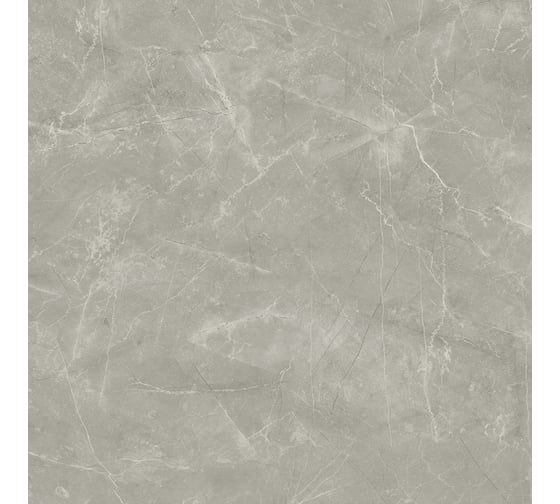 Керамогранит LAPARET Wolf grey 80x80 см, сатинированный, 1.92 кв. м, 3 шт. х9999289550