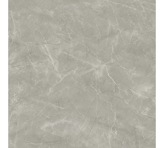 Керамогранит LAPARET Wolf grey 80x80 см, сатинированный, 1.92 кв. м, 3 шт. х9999289550