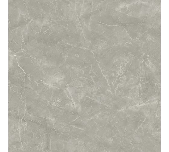 Керамогранит LAPARET Wolf grey 80x80 см, сатинированный, 1.92 кв. м, 3 шт. х9999289550