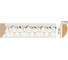 Молдинг Decomaster ДМ 33x15x2400 мм 101C-60 2