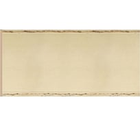 Декоративная панель Decomaster 150x9х2400 мм B15-1028