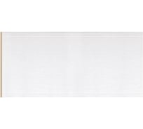 Декоративная панель Decomaster 100x9х2400мм B10-118