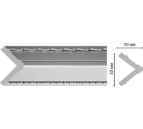 Угол Decomaster ДМ 50x50x2400 мм 142-63