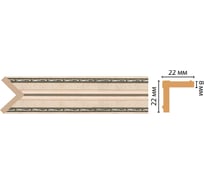Угол Decomaster ДМ 22x22x2400 мм 116M-59